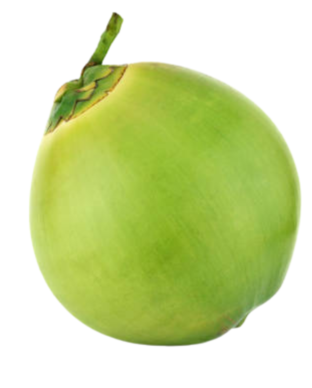 COCO_FRUTA_1