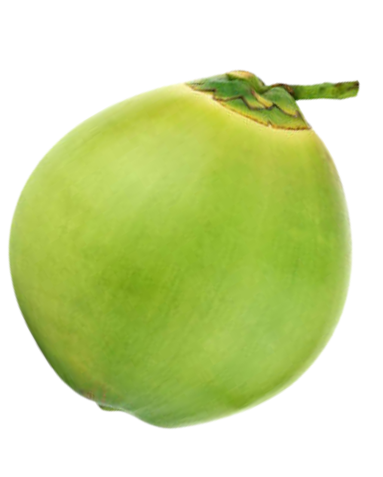 COCO_FRUTA_2