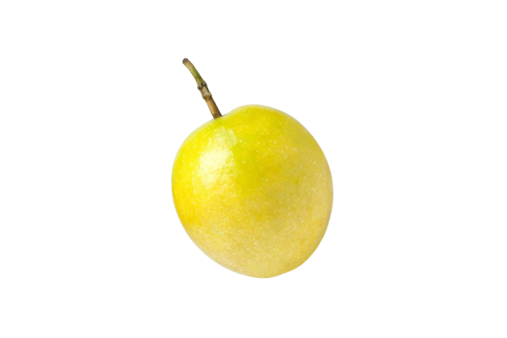 MARACUJA_FRUTA_1