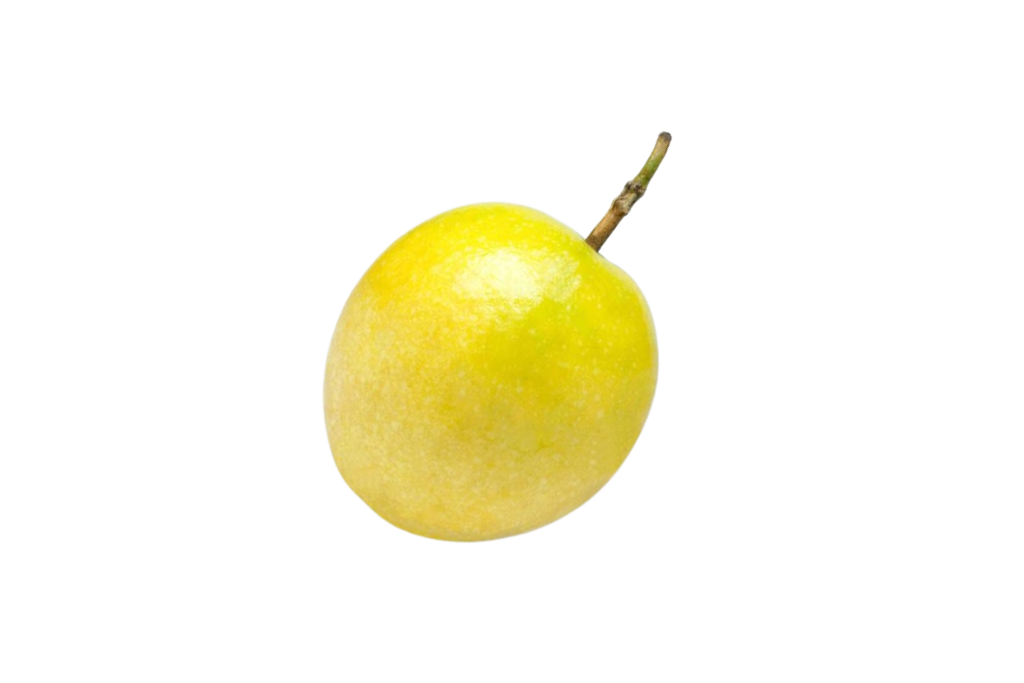 MARACUJA_FRUTA_2