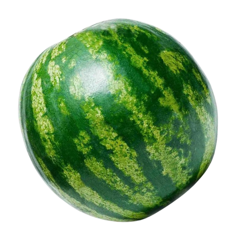 MELANCIA_FRUTA_1