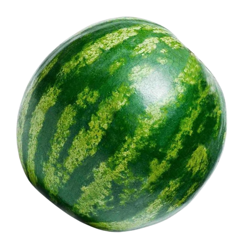 MELANCIA_FRUTA_2